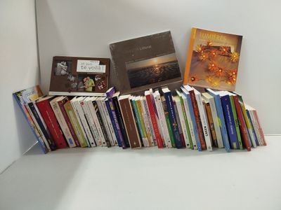 Lot de 50 LIVRES - Romans Poche et Beaux-Livres - Thématique…
