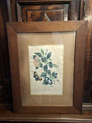 an image of a picture of a picture of a butterfly in a frame