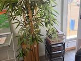 a plant in the corner of a room next to a window