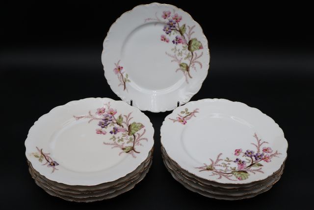 11 assiettes à dessert en porcelaine filet or décor de fleurs
