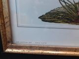 framed picture of a bird sitting on a branch of a plant