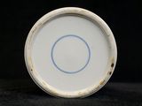 a white plate with a blue circle on it