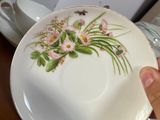 a person holding a plate with a flower design on it