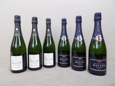 six bouteilles de vin alignées sur une table