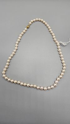 a white pearl necklace with a gold clasp on a gray background