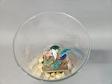 a glass bowl filled with small pieces of food