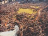 an aerial view of a park in the middle of a city
