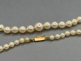 a close up of a pearl necklace with a gold clasp