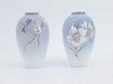 deux vases sur lesquels sont peints des fleurs sur fond blanc
