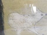 a picture of a drawing of a cow on the wall