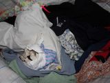 Photo 2/2 du lot