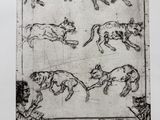 une image représentant un dessin en noir et blanc de chats et de chiens