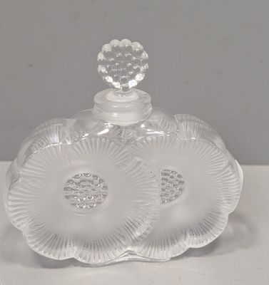 une bouteille en verre transparent surmontée d'une fleur