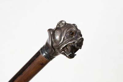 un gros plan d'une canne ornée d'une tête de chien