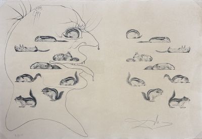 dessin représentant le visage d'une femme avec différents types d'yeux