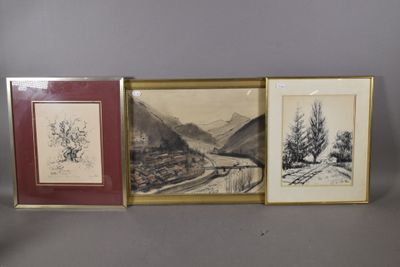 trois photos encadrées représentant des montagnes et des arbres, accrochées au mur