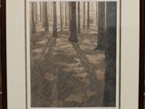 une image représentant une forêt avec des arbres en arrière-plan