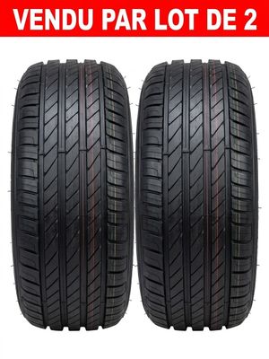 lot de 2 pneus pour les modèles VW-2 et VW-2