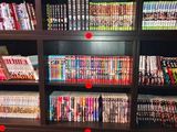 beaucoup de livres sur les étagères de la pièce