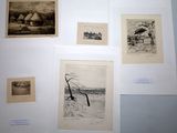 many pictures of a group of pictures hanging on a wall
