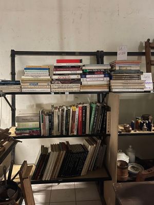 many books on the shelves in the room