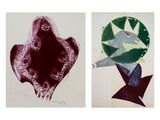 deux tableaux représentant des fleurs de formes et de tailles variées sur fond blanc