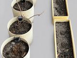 four pots that have plants in them in them