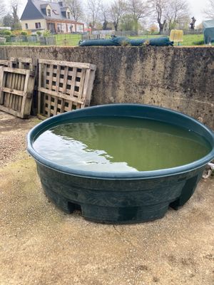 un grand bol vert rempli d'eau posé par terre