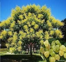 Destockage & Invendus