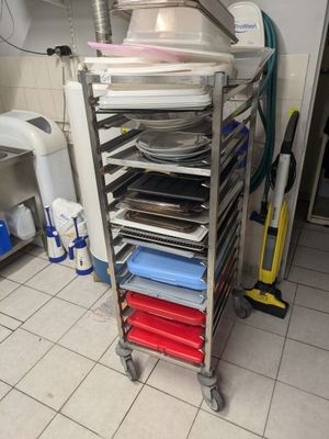 2 échelles à roulettes en inox - Photo 1