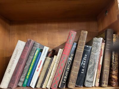 une étagère avec de nombreux livres