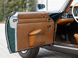 a brown and black car with its door open
