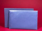 two blue leather wallets on a red background