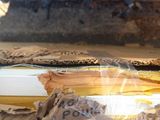 a banana sitting in a plastic bag on the floor