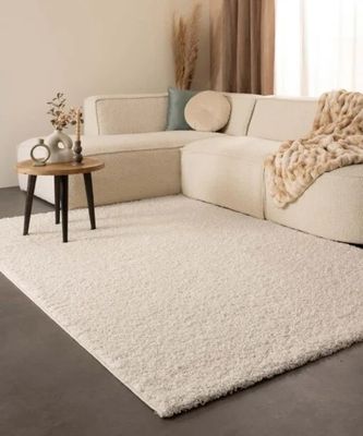 un grand tapis blanc posé au sol dans un salon