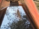 trees are reflected in a puddle of water in the bottom of a boat