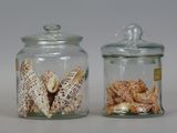 two glass jars with shells inside of them on a table