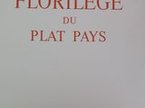 Photo 3/7 du lot