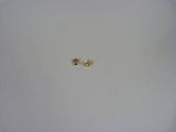 a small bug that is sitting on a white plate
