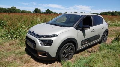 La petite voiture est garée sur le bord de la route, dans l'herbe.