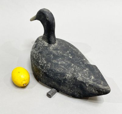 un canard noir posé à côté d'un citron sur une table
