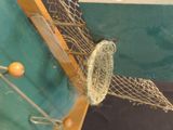 a bird that is sitting in a net on the wall