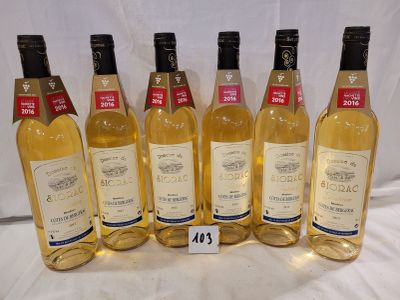 6 bouteilles DOMAINE DU SIORAC 2012 COTES DE BERGERAC MOELLE…