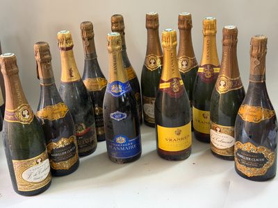 12 bouteilles Champagne divers JEAN MAURE, VRANKEN, CHAMBORD…