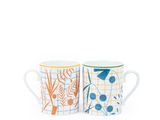 deux tasses à café ornées de motifs différents sur fond blanc