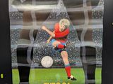 a poster of a soccer player kicking a soccer ball