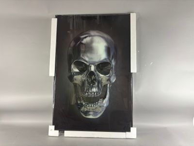 a picture of a picture of a skull on the wall