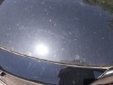 a close up of a car ' s hood and the hood of it