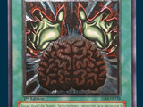 a picture of a card with a picture of a brain on it