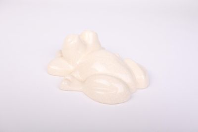 a small white frog sitting on a white surface